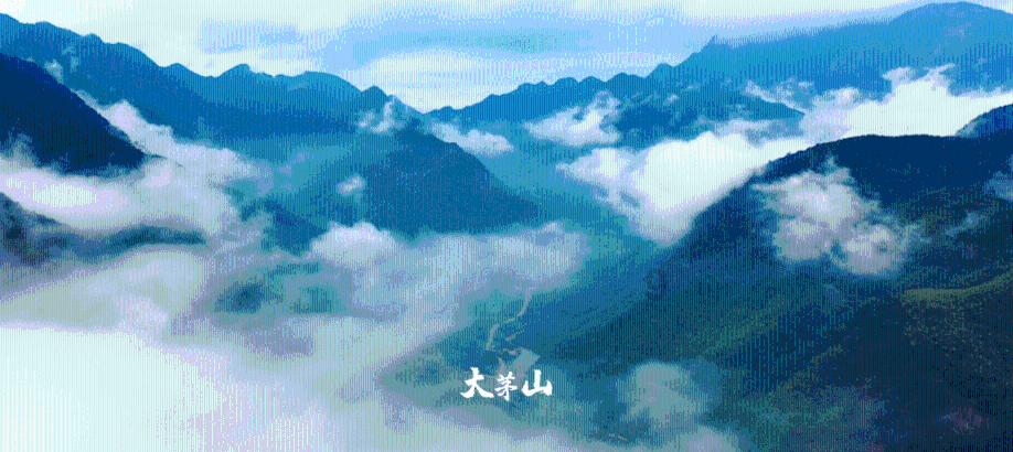燃烧吧大脑装瓶子游戏